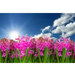 Guided Garden Tours – Atlanta Botanical Garden Guided Garden Tours – Atlanta Botanical Garden