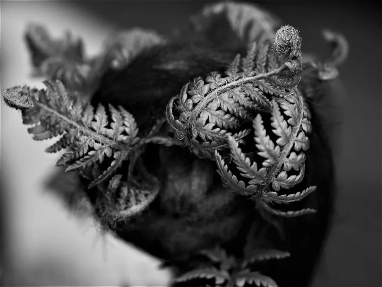 Morning Hikes: Nature Exploration – Fernbank Museum Morning Hikes: Nature Exploration – Fernbank Museum