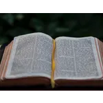 Creative Library Card Design Workshop – Locust Grove Library Creative Library Card Design Workshop – Locust Grove Library