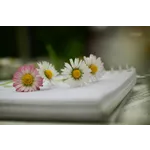 Code and Create – McDonough Public Library Code and Create – McDonough Public Library