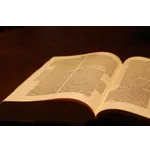 Babies & Playtime: A Fun Saturday Experience – Locust Grove Library Babies & Playtime: A Fun Saturday Experience – Locust Grove Library