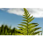 Exploring Scientific Frontiers – Fernbank Museum Exploring Scientific Frontiers – Fernbank Museum