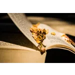 Explore & Discover: Adult Library Scavenger Hunt – McDonough Public Library Explore & Discover: Adult Library Scavenger Hunt – McDonough Public Library