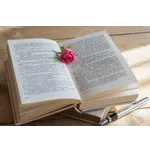 Math Logic Puzzles Workshop – McDonough Public Library Math Logic Puzzles Workshop – McDonough Public Library