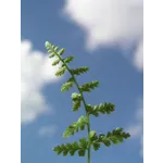 Unleash the Wonder: Fantastic Forces at Fernbank Museum of Natural History! Unleash the Wonder: Fantastic Forces at Fernbank Museum of Natural History!