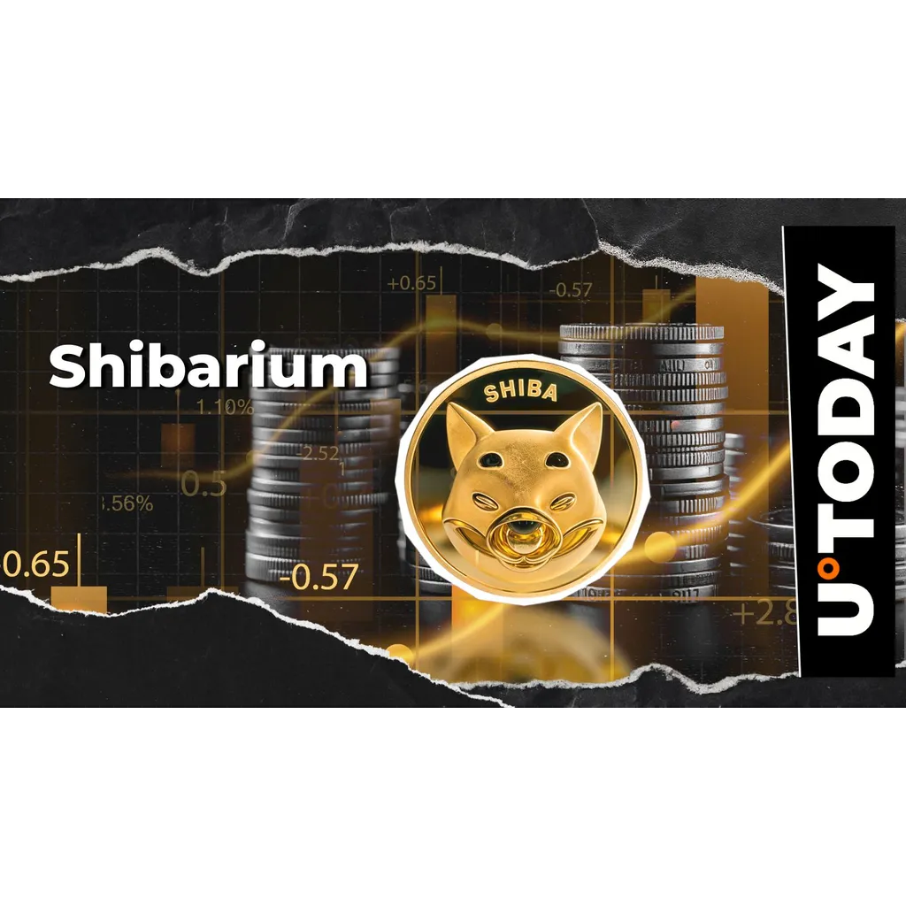 Shiba Inu team issues critical Shibarium Chainlink update Shiba Inu team issues critical Shibarium Chainlink update