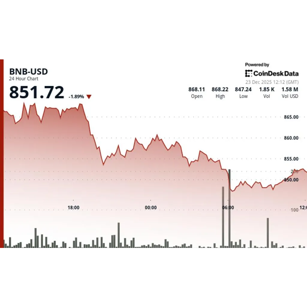 BNB price drops back to the 0 level BNB price drops back to the 0 level