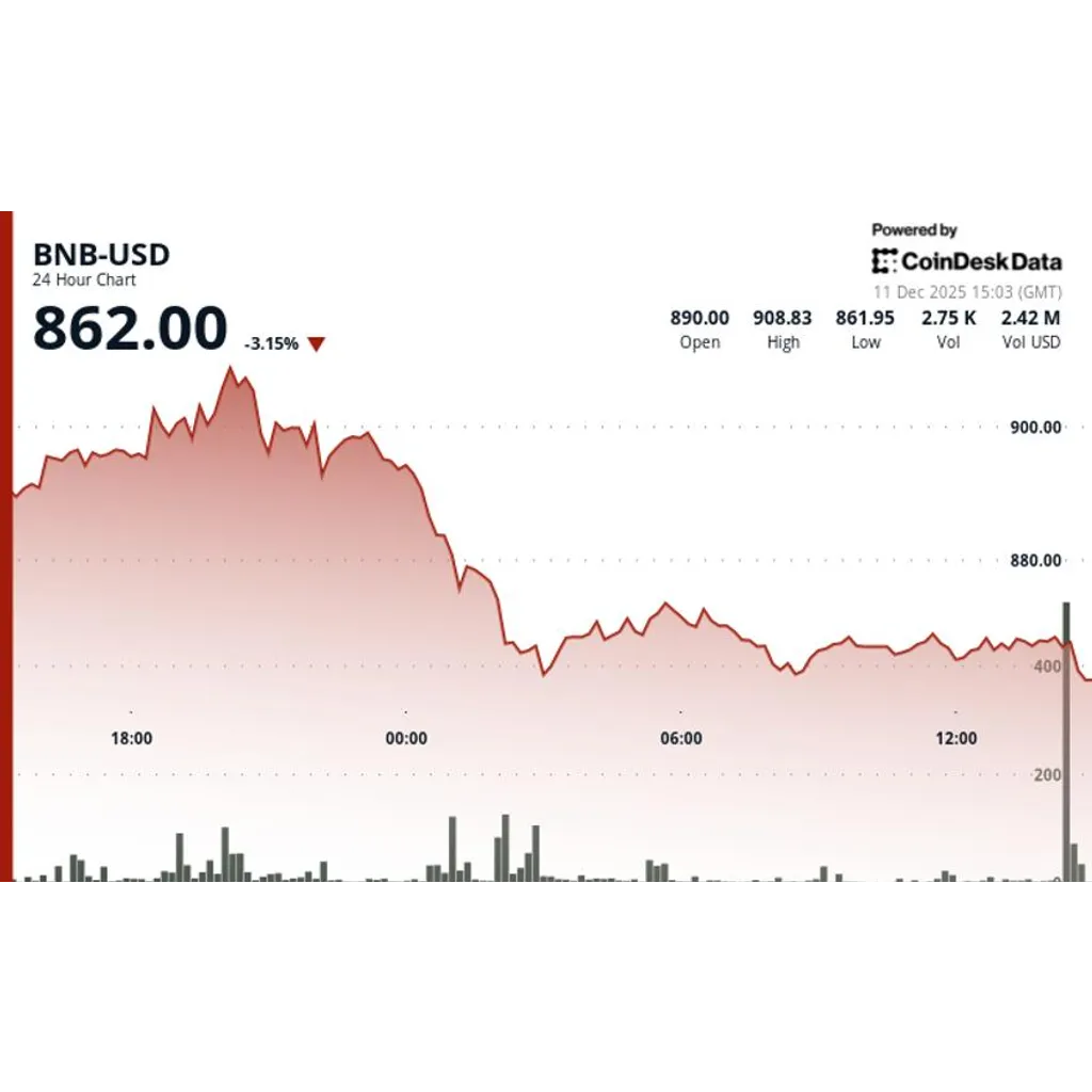 BNB Drops Below 5 as Crypto Market Moves Lower BNB Drops Below 5 as Crypto Market Moves Lower