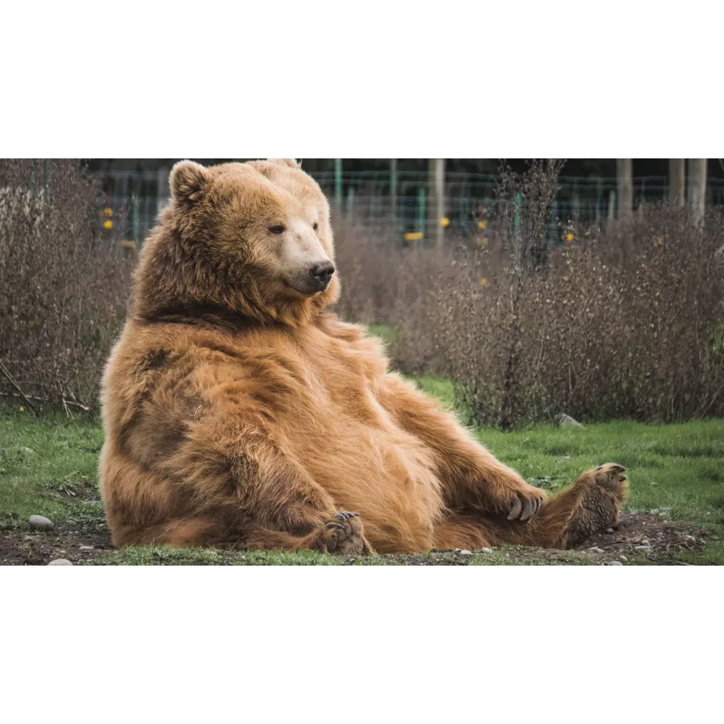 Bitcoin options .2 billion expiry Friday reflects 0.7 put-call ratio favoring bears Bitcoin options .2 billion expiry Friday reflects 0.7 put-call ratio favoring bears