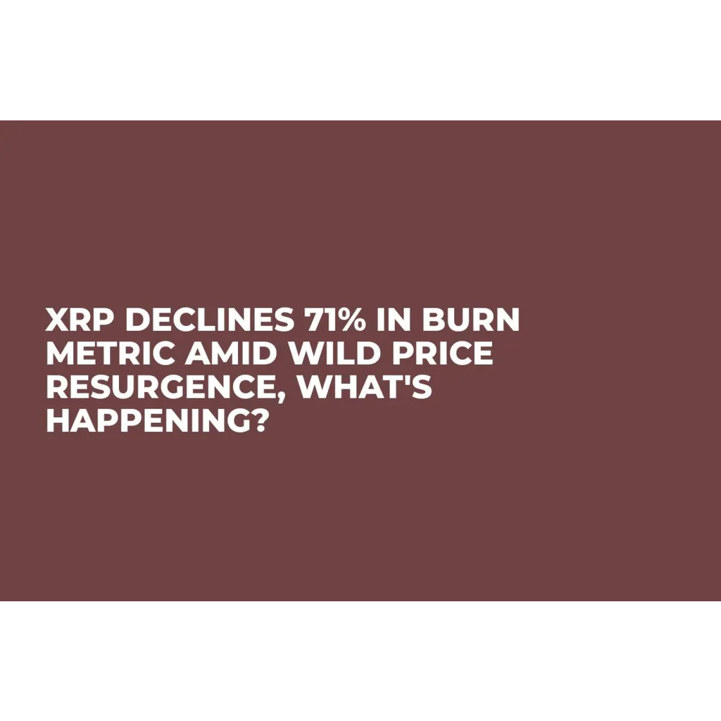 XRP burn metric declines 71 percent during price resurgence period XRP burn metric declines 71 percent during price resurgence period