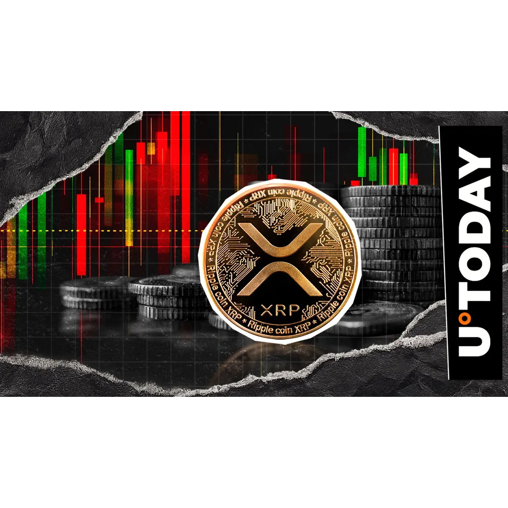 XRP drops 19 percent in crucial metric as price fails to retrieve three dollars XRP drops 19 percent in crucial metric as price fails to retrieve three dollars