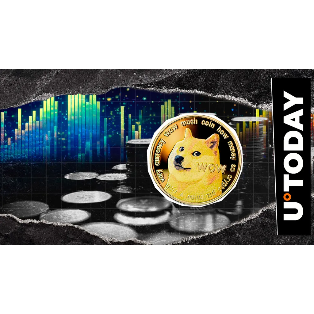 Dogecoin price stages big rebound as volume rockets 65 percent Dogecoin price stages big rebound as volume rockets 65 percent