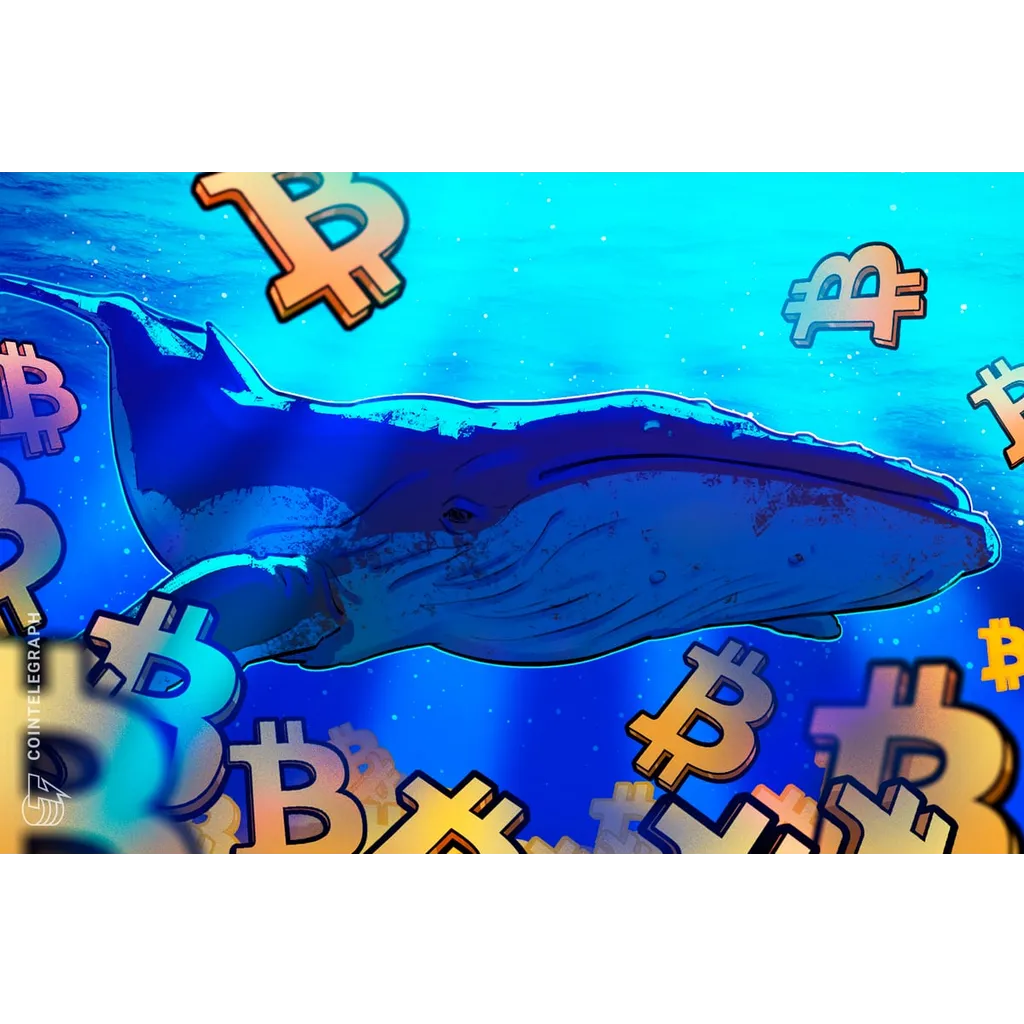 Bitcoin Eyes K As Whales Devour 20x Daily BTC Supply In Just 30 Days Bitcoin Eyes K As Whales Devour 20x Daily BTC Supply In Just 30 Days