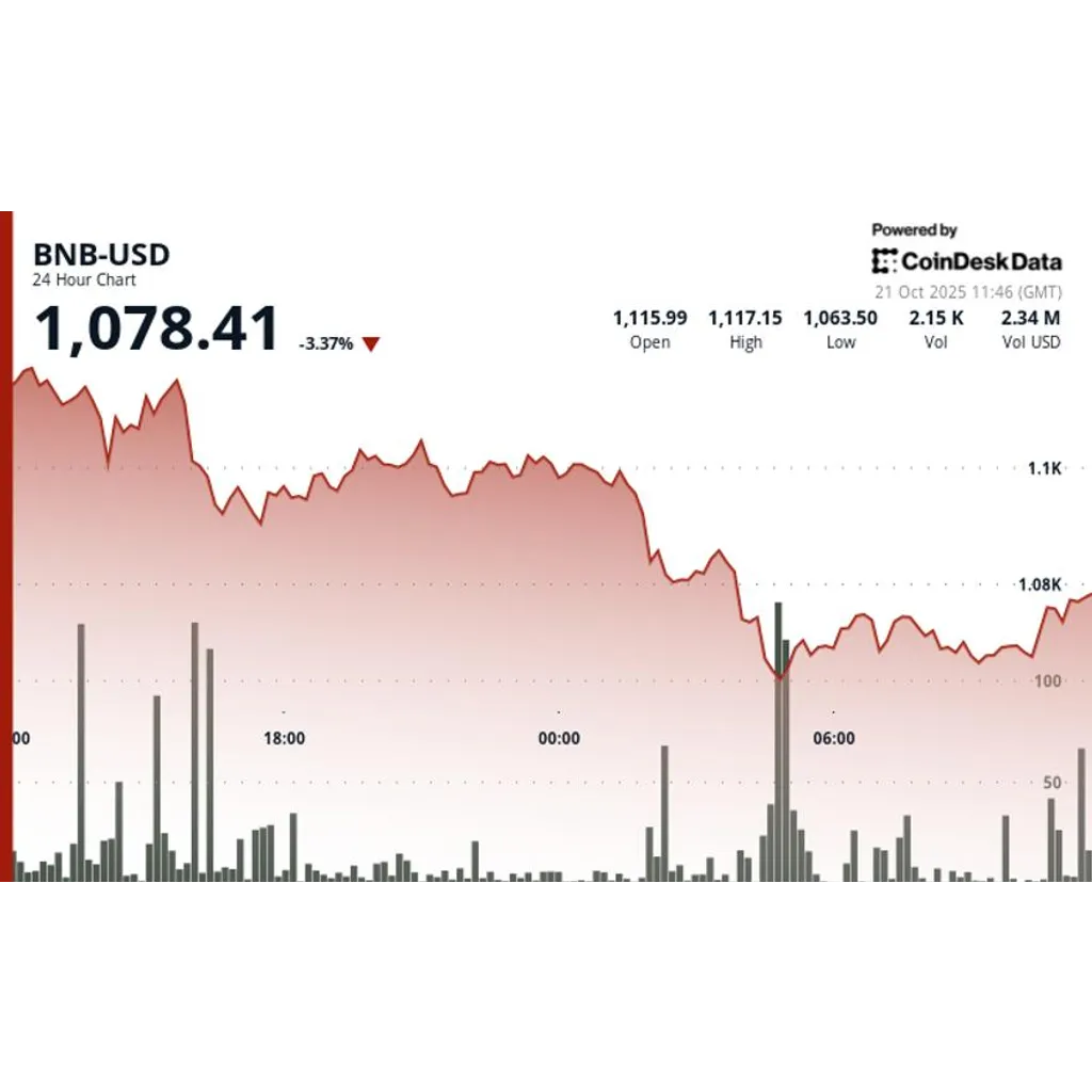 BNB drops as shakeout cuts through support with heavy selling volume BNB drops as shakeout cuts through support with heavy selling volume