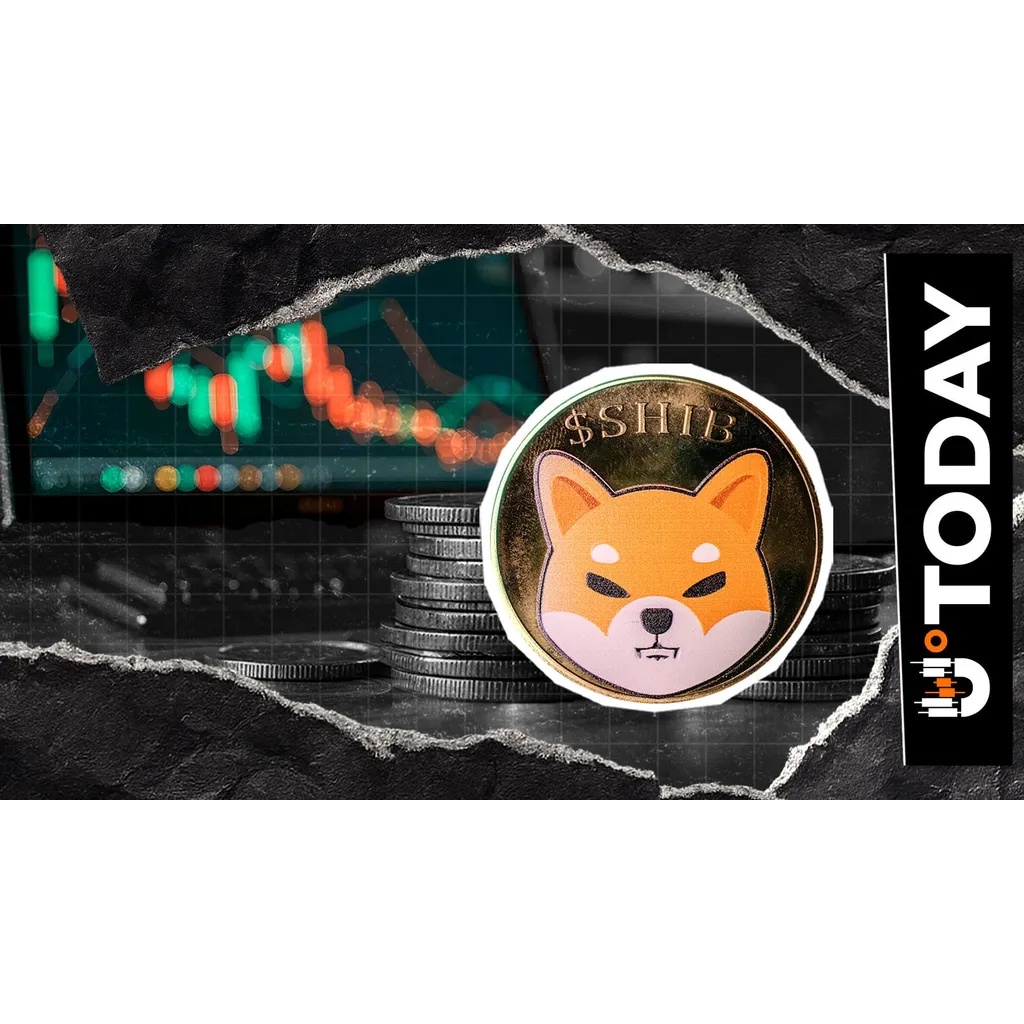 Shiba Inu Web3 Exploration Highlights Five Potential Use Cases Shiba Inu Web3 Exploration Highlights Five Potential Use Cases