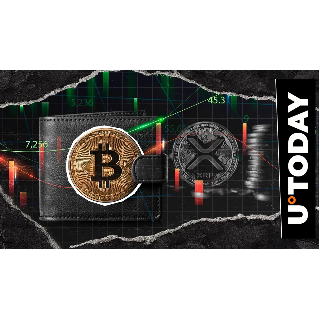 Satoshi Bitcoin wallet worth 5 billion draws speculation amid XRP market activity Satoshi Bitcoin wallet worth 5 billion draws speculation amid XRP market activity