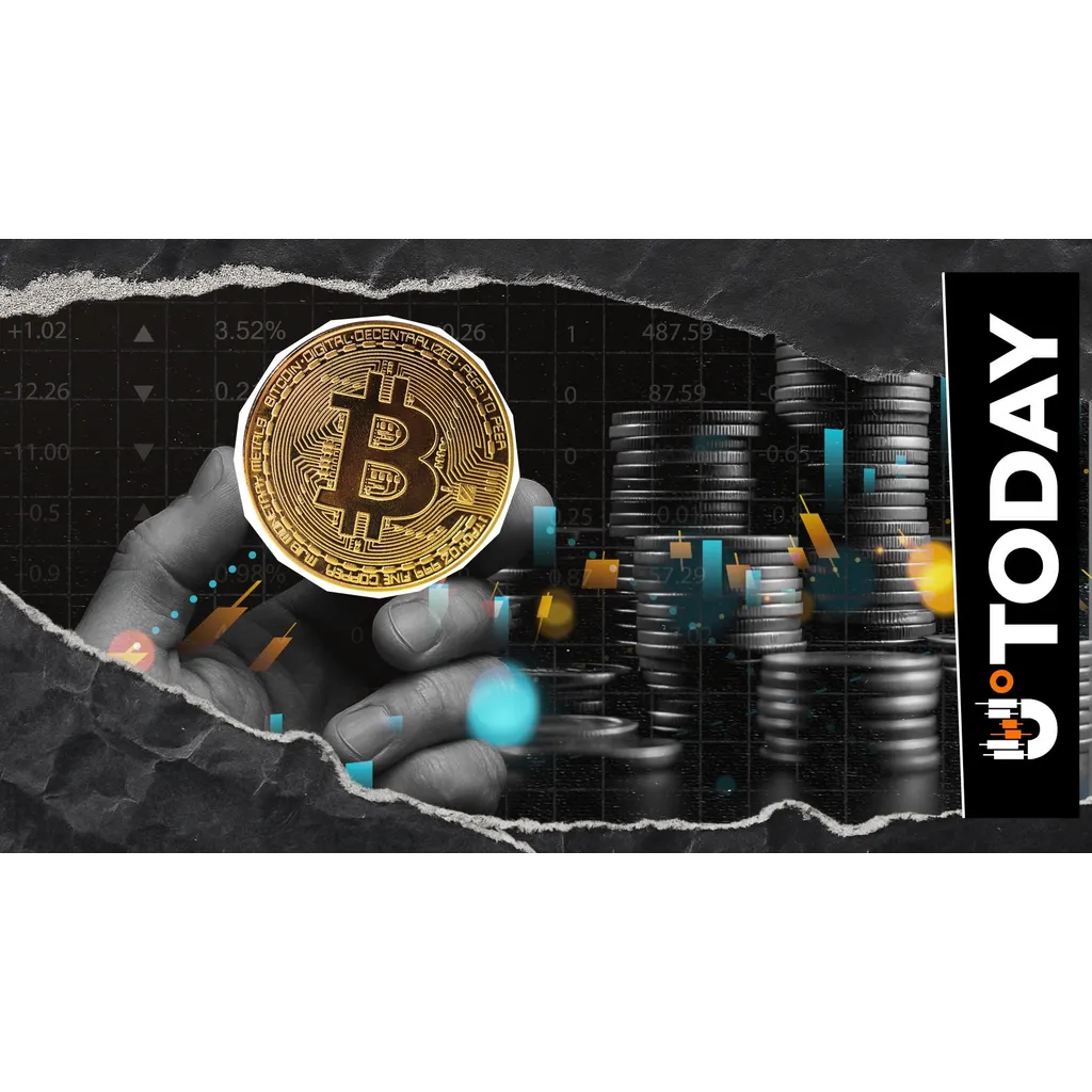 1-in-100,000 Chance: Solo Bitcoin Miner Defies 300-Year Odds to Solve Block 313 1-in-100,000 Chance: Solo Bitcoin Miner Defies 300-Year Odds to Solve Block 313