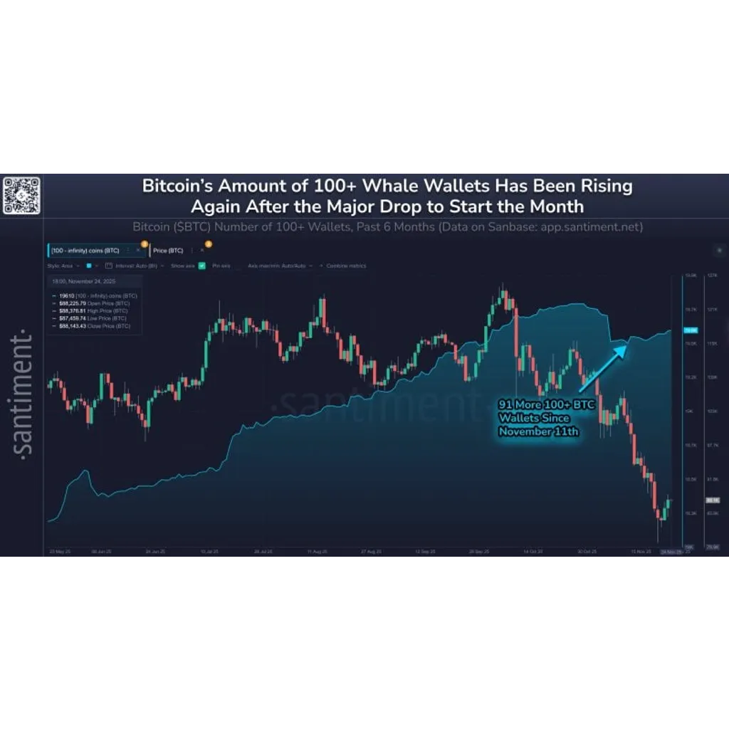Santiment reports a surge in Bitcoin wallets holding at least 100 BTC Santiment reports a surge in Bitcoin wallets holding at least 100 BTC