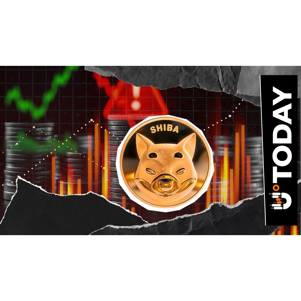 Shiba Inu Developer Details Targeted Attacks Against the Team Shiba Inu Developer Details Targeted Attacks Against the Team