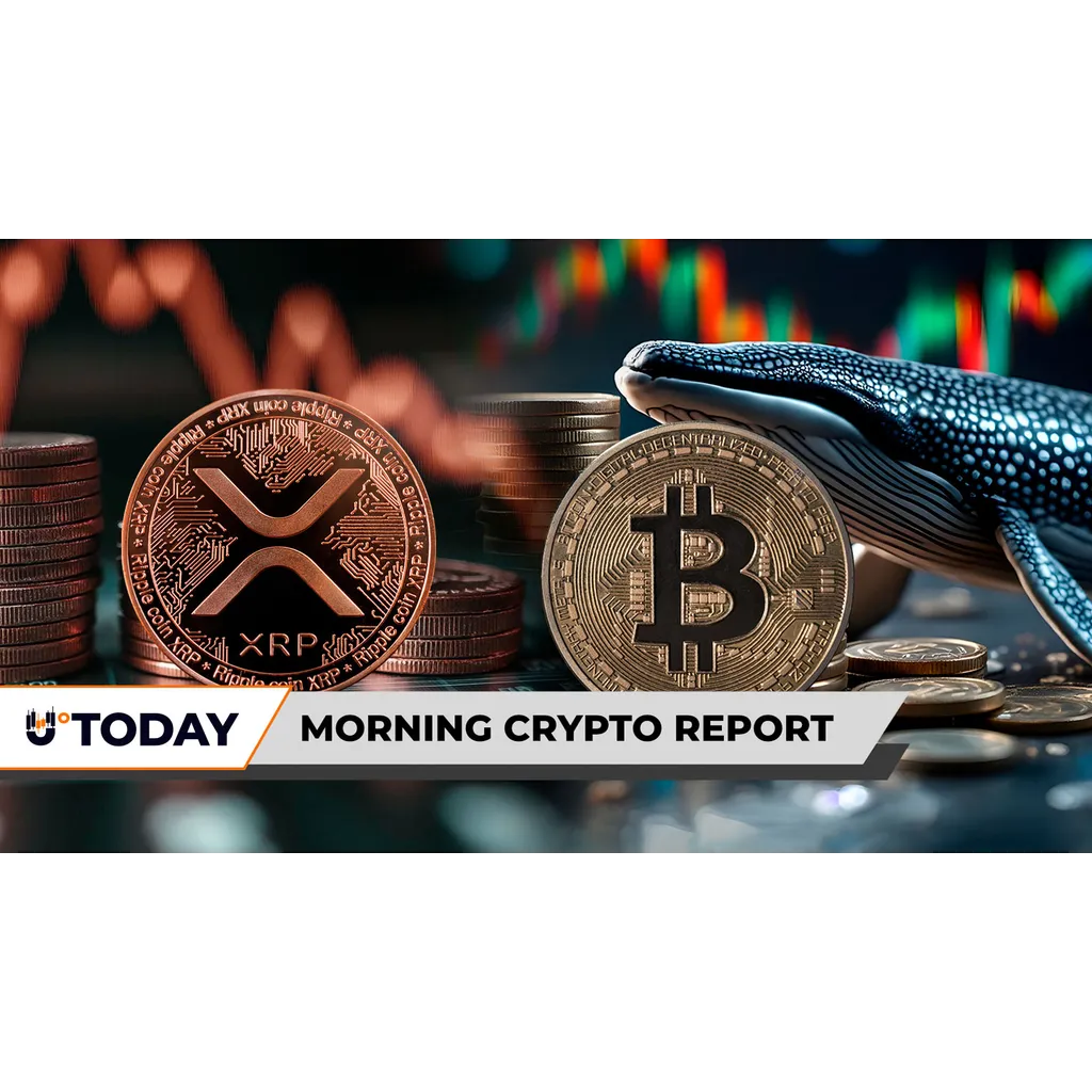 XRP price faces resistance Bitcoin liquidation whale sells BTC XRP price faces resistance Bitcoin liquidation whale sells BTC