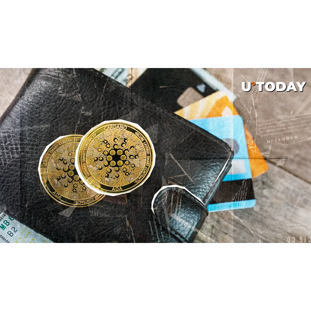 Cardano reaches 4.8 million unique ADA wallets in 2024, marking major adoption milestone Cardano reaches 4.8 million unique ADA wallets in 2024, marking major adoption milestone