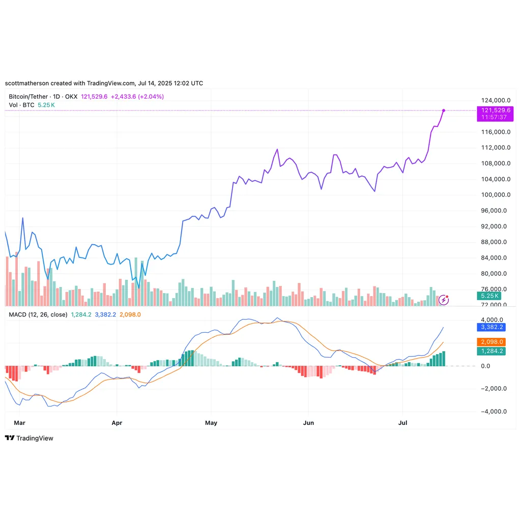 Bitcoin Is Not Stopping At 3,000 — Technical Indicators Point To 0,000 Top Bitcoin Is Not Stopping At 3,000 — Technical Indicators Point To 0,000 Top