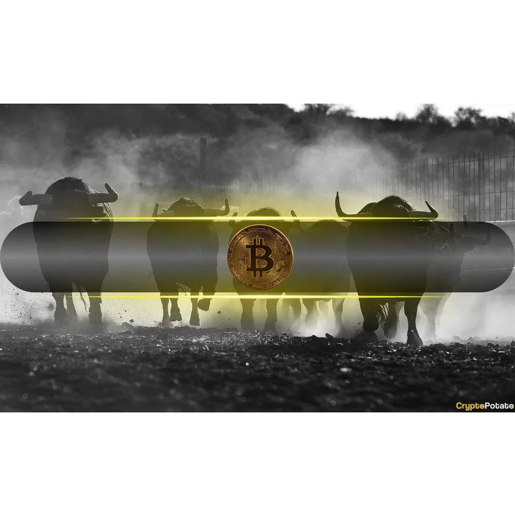 CQ CEO Backtracks on BTC Cycle Theory, Now Cites Institutional Surge CQ CEO Backtracks on BTC Cycle Theory, Now Cites Institutional Surge