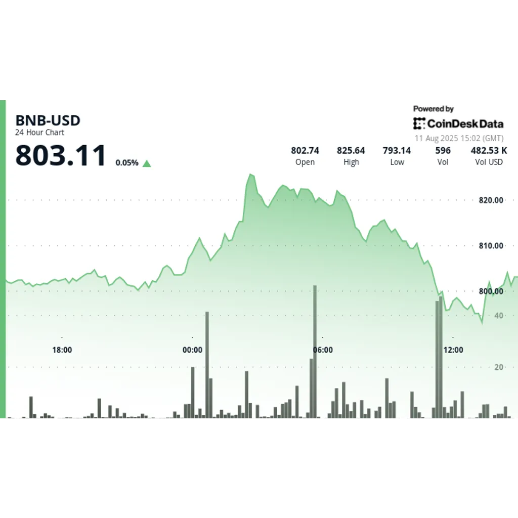 BNB Swings 4% as Buying Tests 0 BNB Swings 4% as Buying Tests 0