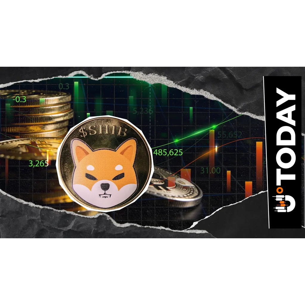 Shiba Inu Trader Activity Returns Amid 0 Million Market Shorts Wipeout Shiba Inu Trader Activity Returns Amid 0 Million Market Shorts Wipeout