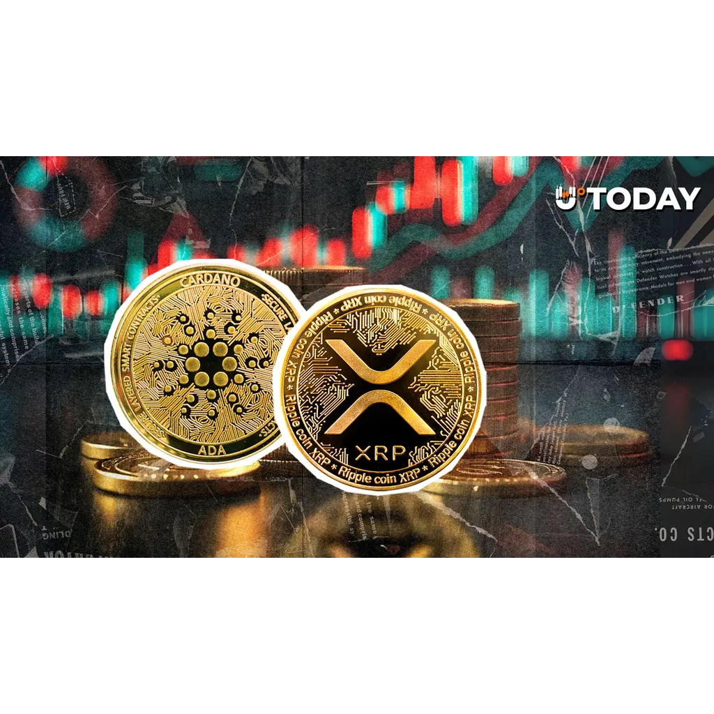 XRP and Solana Hold Market as Crypto Funds Shed 8 Million XRP and Solana Hold Market as Crypto Funds Shed 8 Million