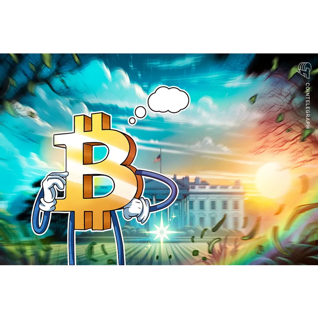 White House omits Bitcoin reserve update White House omits Bitcoin reserve update