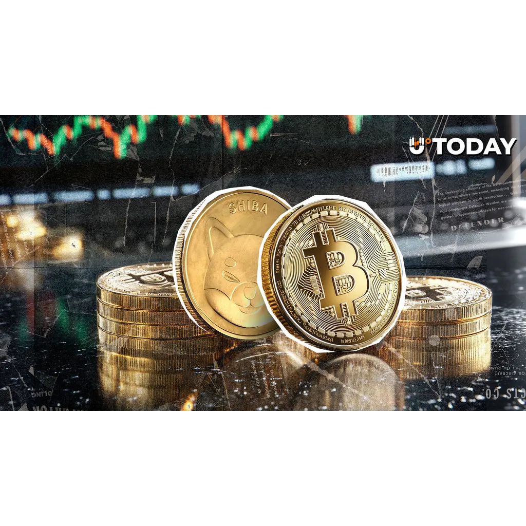 Only One Can Win? Shiba Inu (SHIB) and Bitcoin Set up Rare February Face-Off Only One Can Win? Shiba Inu (SHIB) and Bitcoin Set up Rare February Face-Off
