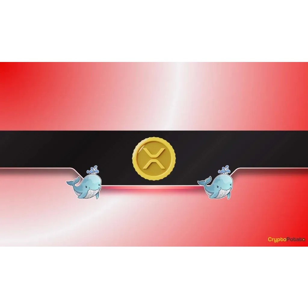 Whales Bought the XRP Dip While DOGE Hits Key Accumulation Zone: Details Whales Bought the XRP Dip While DOGE Hits Key Accumulation Zone: Details