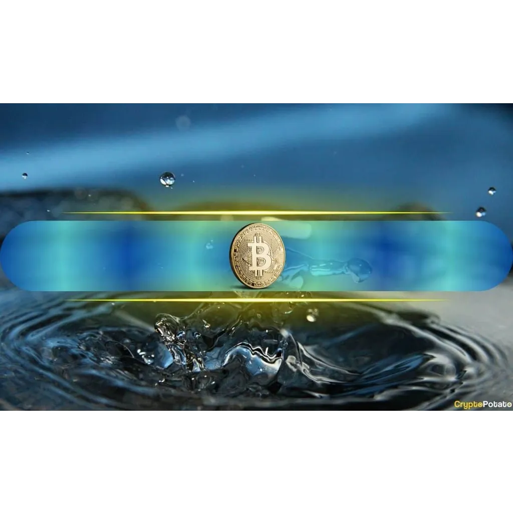 Bitcoin (BTC) Benefits from Bullish Bets, Altcoins Punish the Optimists Bitcoin (BTC) Benefits from Bullish Bets, Altcoins Punish the Optimists