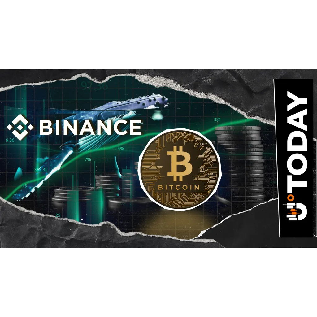 Binance Bitcoin whale activity increases signaling potential market upside Binance Bitcoin whale activity increases signaling potential market upside