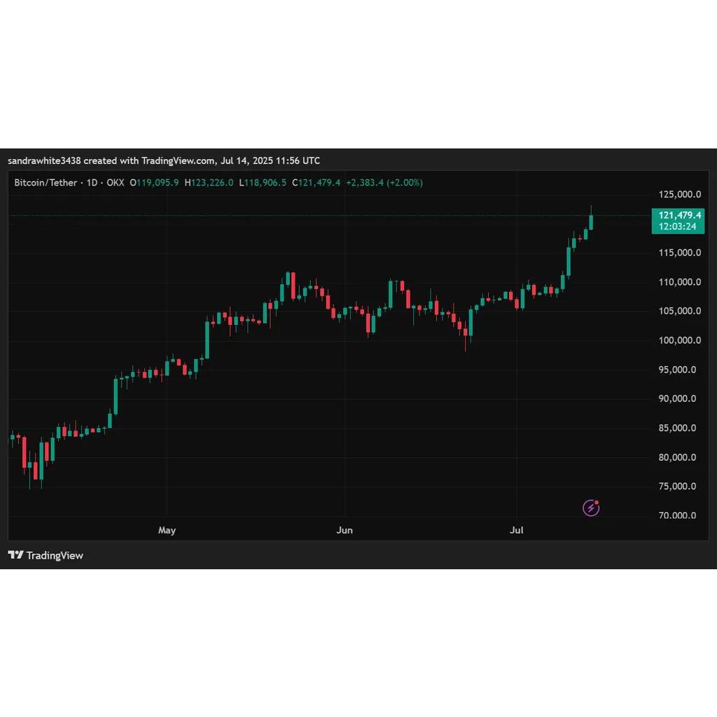 Delay In Bull Market Could Push Bitcoin Higher Than Expected Delay In Bull Market Could Push Bitcoin Higher Than Expected
