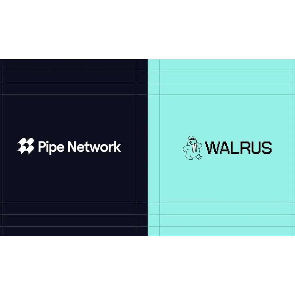 Walrus and Pipe Network Boost Multi-Chain Speed Walrus and Pipe Network Boost Multi-Chain Speed