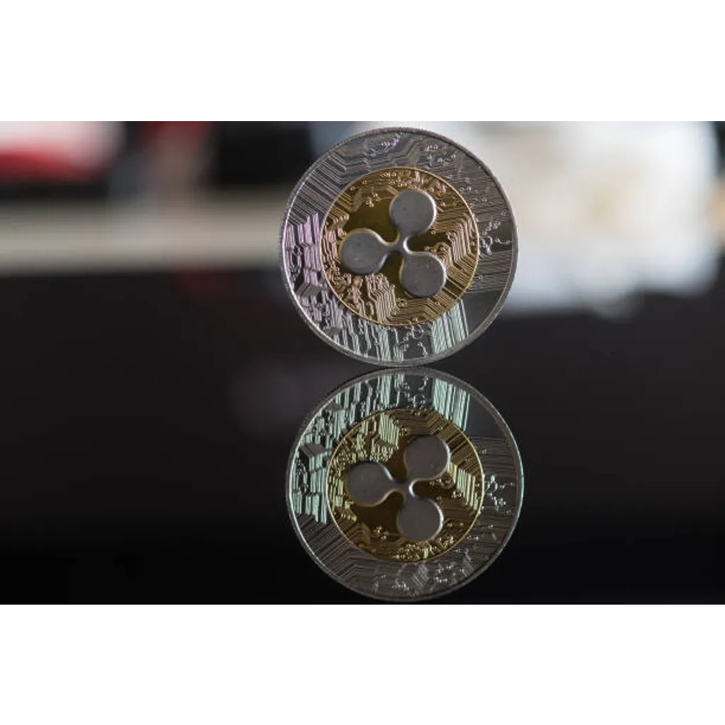 Bitcoin Maxi Mocks XRP Investors Bitcoin Maxi Mocks XRP Investors
