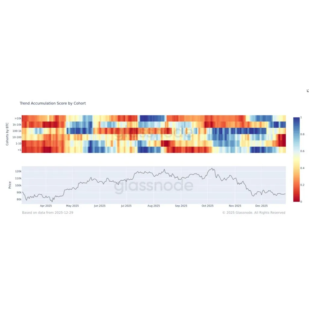 Large bitcoin holders have been the main buyers in the ,000 range Large bitcoin holders have been the main buyers in the ,000 range