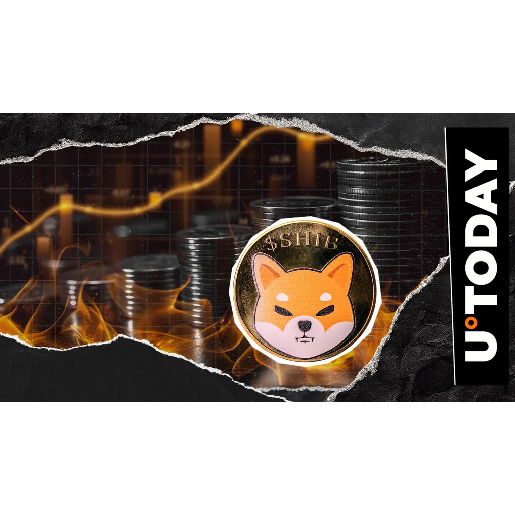 Shiba Inu burn rate increases 11822 percent with millions of tokens destroyed Shiba Inu burn rate increases 11822 percent with millions of tokens destroyed