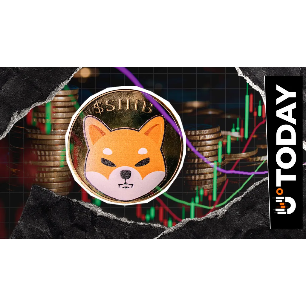 Forget Shiba Inu Price: Why SHIB’s Market Cap .6B Valuation Matters More in 2026 Forget Shiba Inu Price: Why SHIB’s Market Cap .6B Valuation Matters More in 2026