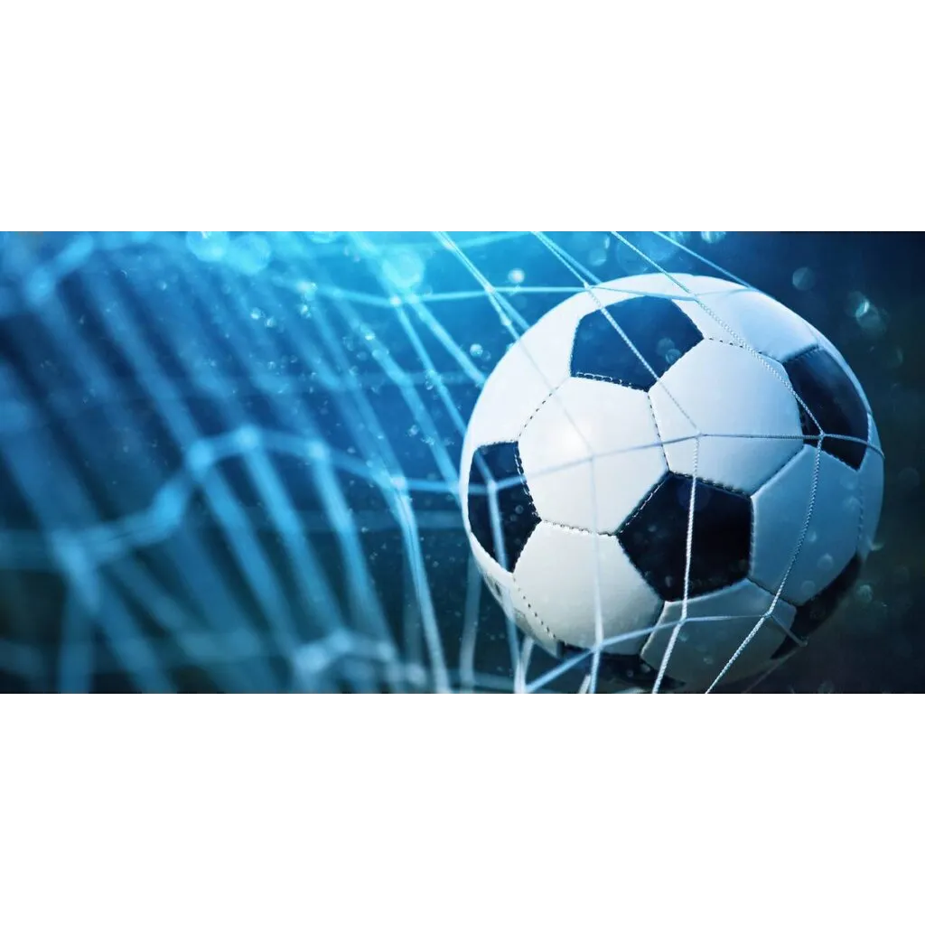 FIFA World Cup blockchain ticketing platform faces Swiss regulatory scrutiny FIFA World Cup blockchain ticketing platform faces Swiss regulatory scrutiny