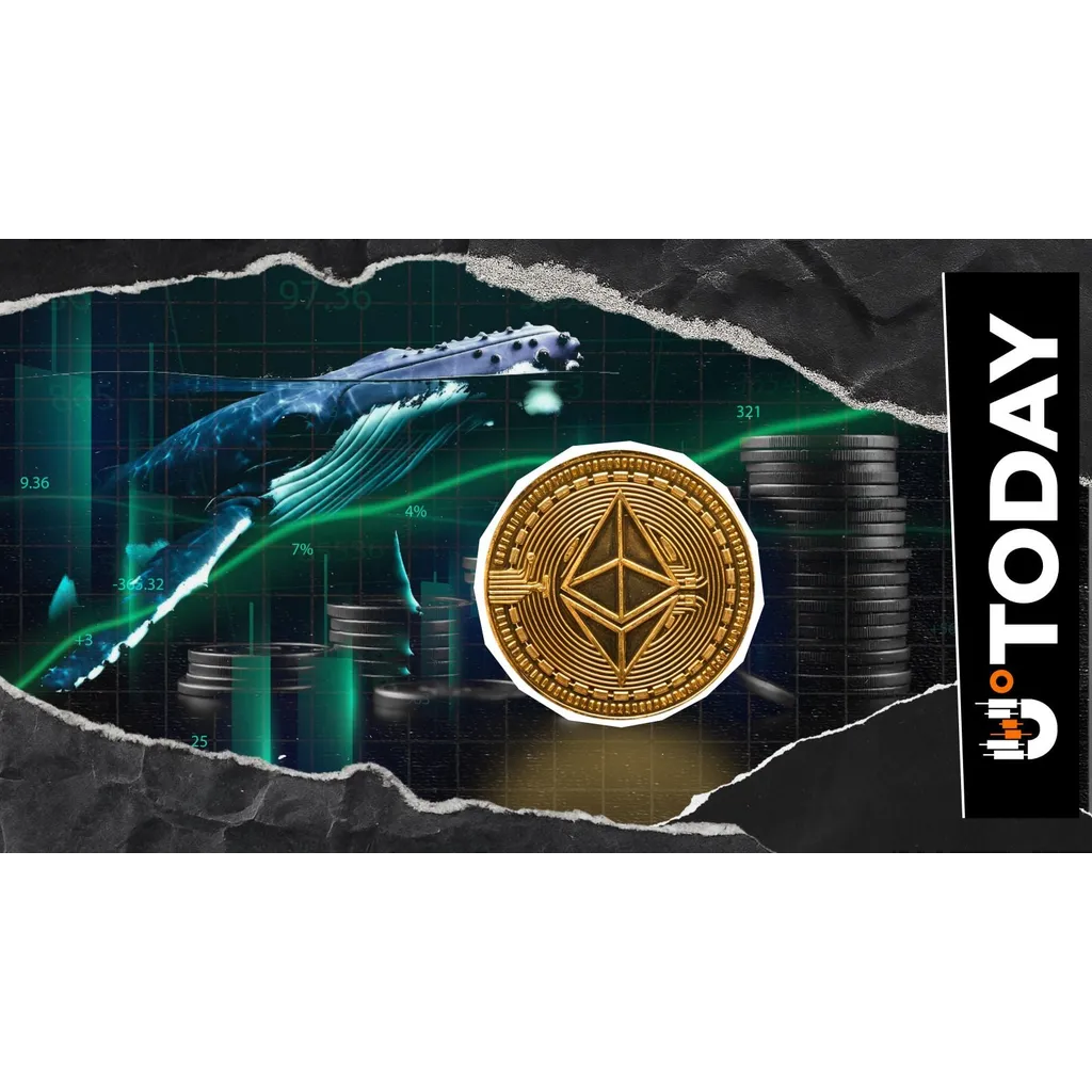 Ethereum (ETH) Whale Purchases: Why Is Everyone Buying? Ethereum (ETH) Whale Purchases: Why Is Everyone Buying?