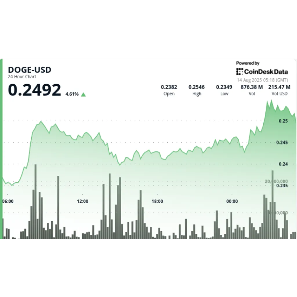 DOGE surges 7% on 0M whale purchases as futures hit B DOGE surges 7% on 0M whale purchases as futures hit B