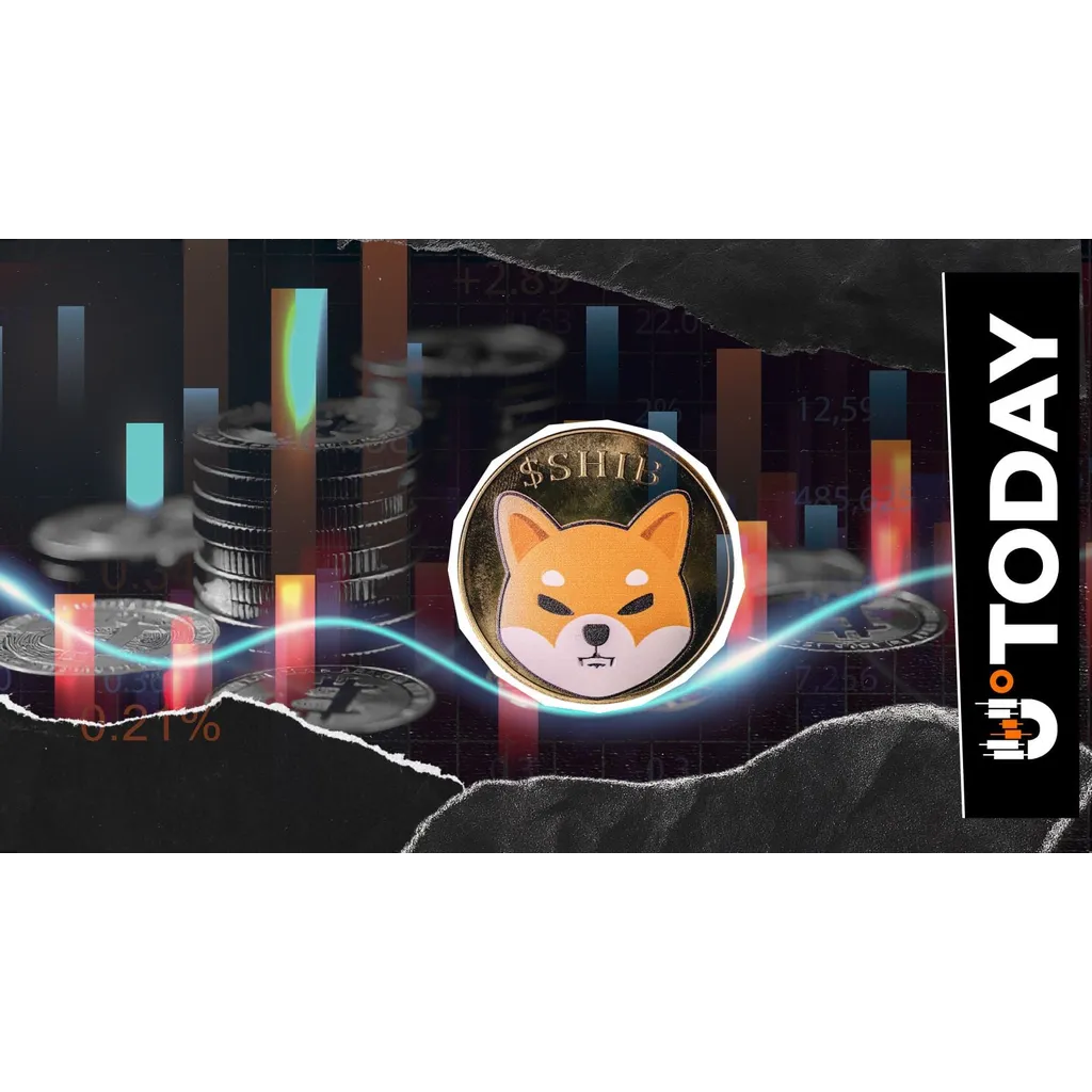 Shiba Inu holders move 78 billion SHIB tokens in transactions Shiba Inu holders move 78 billion SHIB tokens in transactions