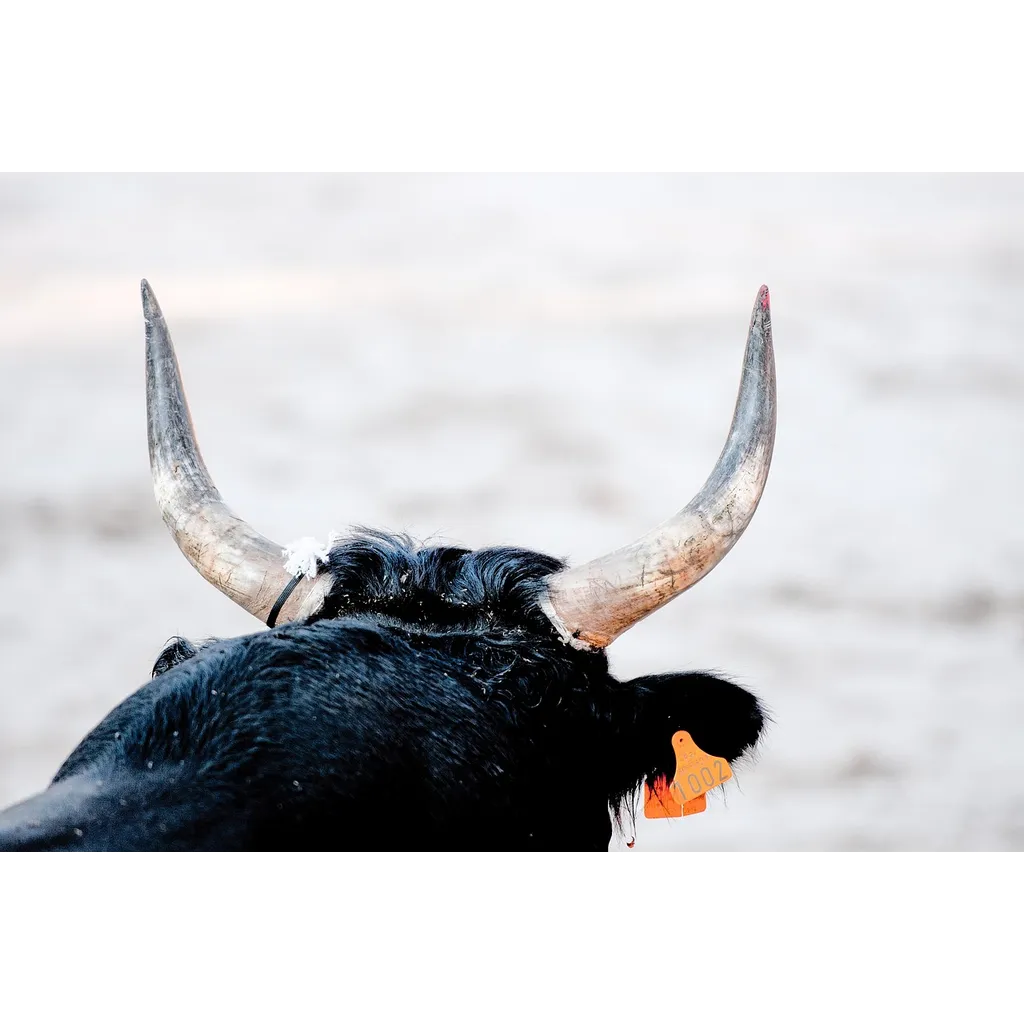 Fed Chair Selection Trigger Bitcoin Bull Run CEO Says Fed Chair Selection Trigger Bitcoin Bull Run CEO Says