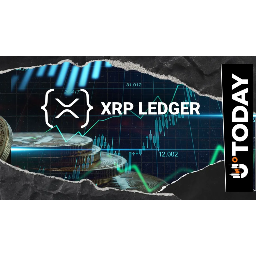 XRP Ledger (XRPL) Developers Jump 10% as Adoption Grows XRP Ledger (XRPL) Developers Jump 10% as Adoption Grows