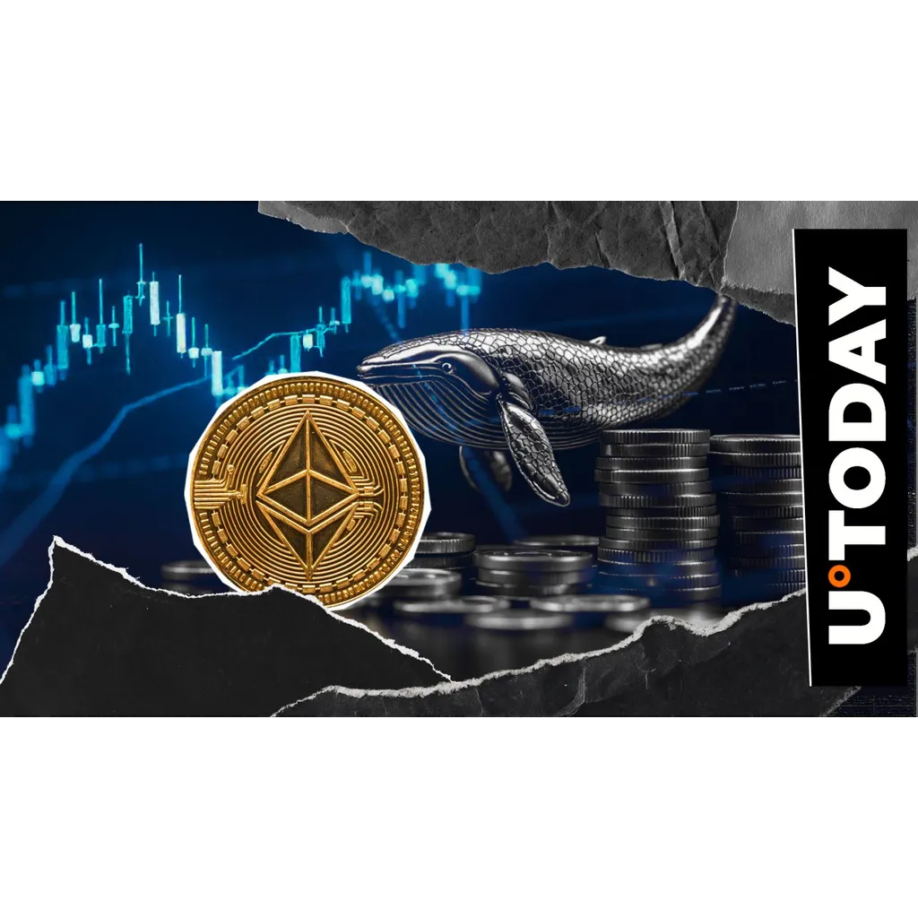 Ethereum whale holdings drop 15% in Q2 2024 as Grayscale and Coinbase reduce positions Ethereum whale holdings drop 15% in Q2 2024 as Grayscale and Coinbase reduce positions