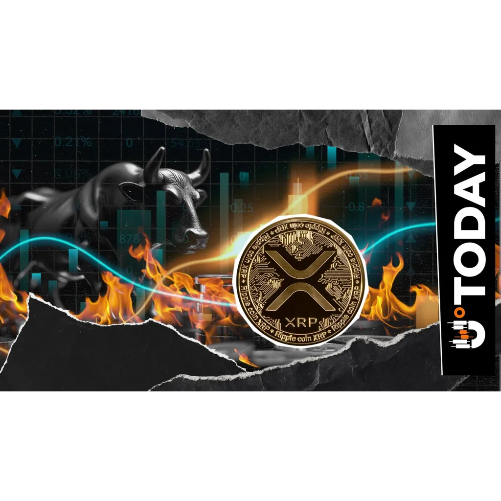XRP burn rate increases alongside price during market recovery phase XRP burn rate increases alongside price during market recovery phase