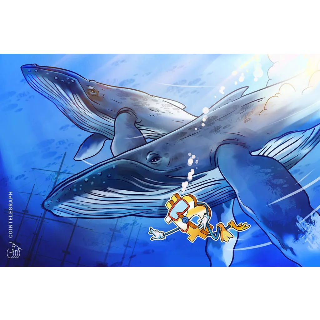Bitcoin Whale Accumulation Overstated as Long-Term Holders Begin Buying Bitcoin Whale Accumulation Overstated as Long-Term Holders Begin Buying